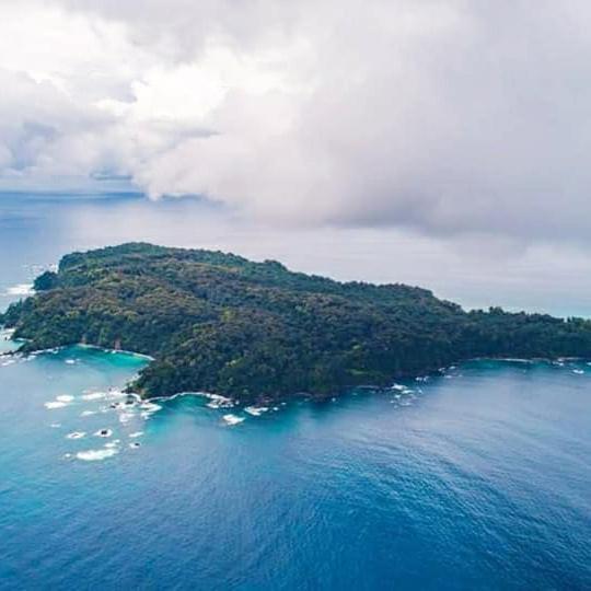 Cabinas Manolo Drake Bay, Ocean And Forest View Dış mekan fotoğraf
