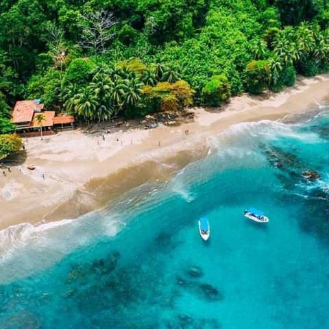 Cabinas Manolo Drake Bay, Ocean And Forest View Dış mekan fotoğraf